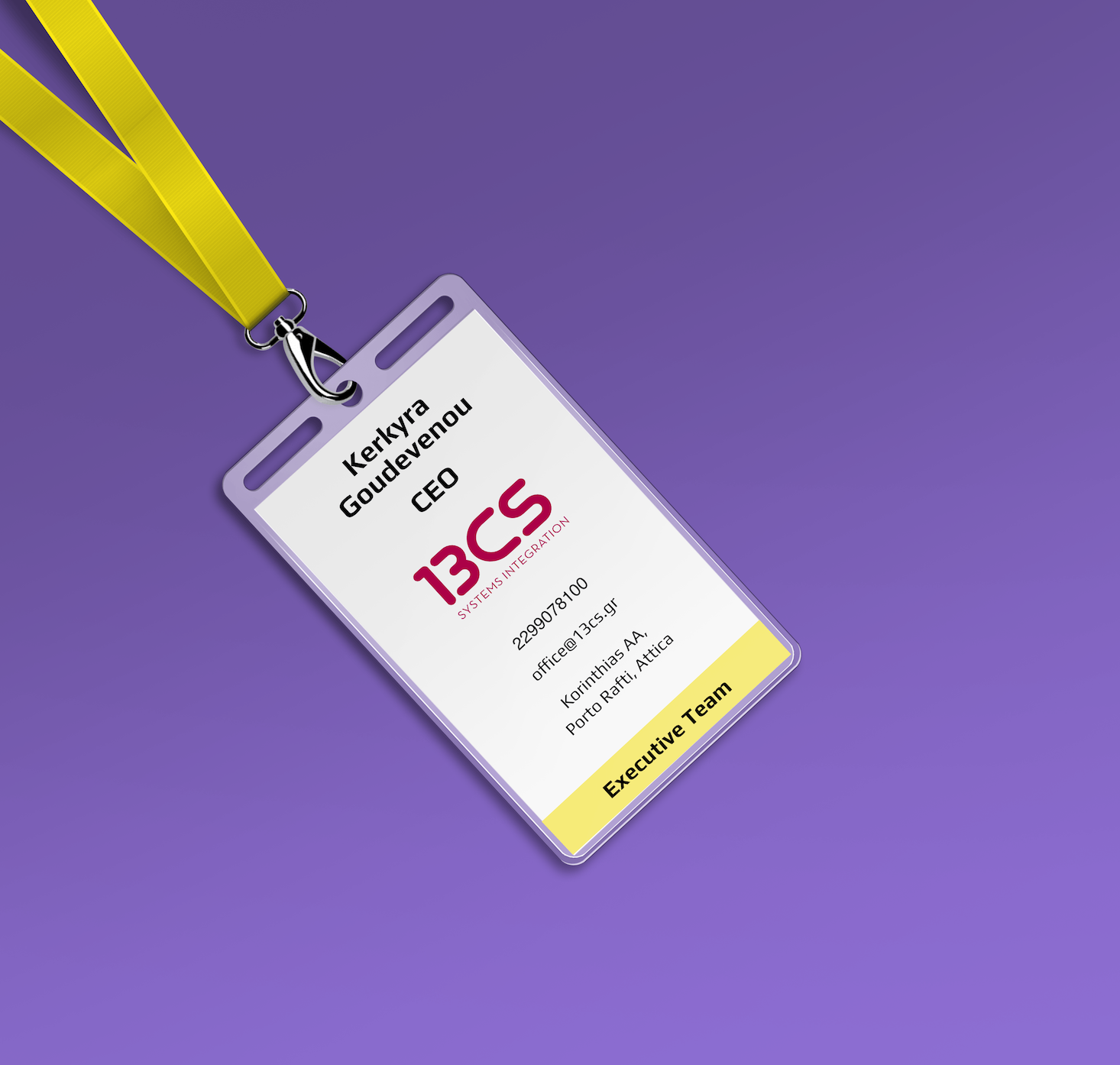 13CS-ACCESS-CARD